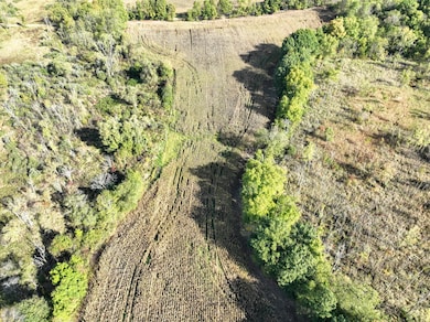 VL Hoffman Street Lot#wp001 St, Vandalia, MI 49095 - photo 5