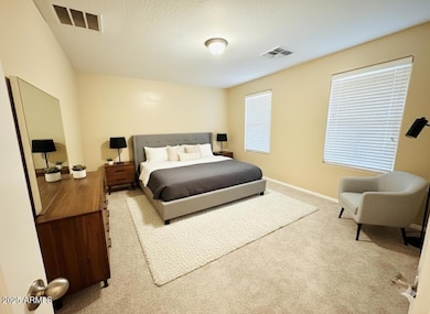 42564 W Palmyra Ln, Maricopa, AZ 85138 - photo 6