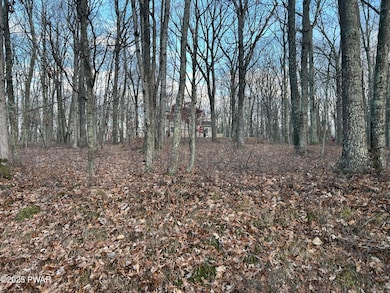 Lot 9 Tamarack Dr, Lackawaxen Township, PA 18428 - photo 5