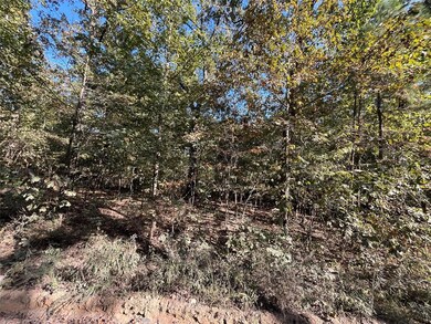 0 Tbd Sailfish Rd, Hochatown, OK 74728 - photo 7