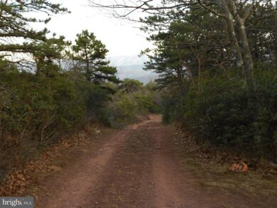 6 Kile Knob, Franklin, WV 26807 - photo 2