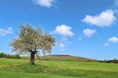 85 Pallottas Hill Rd, Ludlow, VT 05149 - photo 6