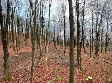 Town Line Rd, McGraw, NY 13101 - photo 3