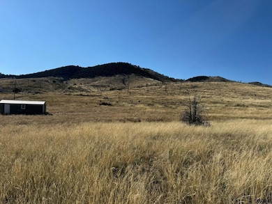 TBD Copper Gulch Rd, Cotopaxi, CO 81223 - photo 2