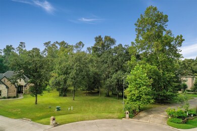 1251 Trailwood Estates Dr, Magnolia, TX 77354 - photo 3