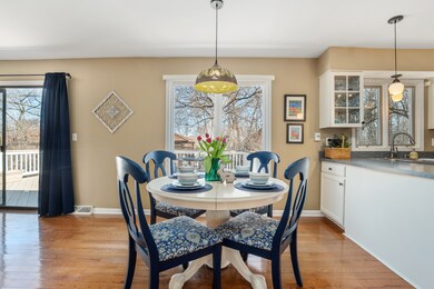 1153 Pine St, Batavia, IL 60510 - photo 7