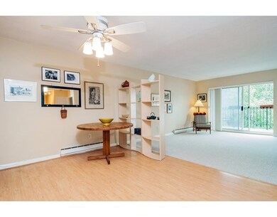 29 Custer St unit 304, Jamaica Plain, MA 02130 - photo 3