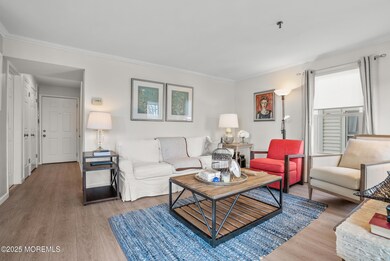 Sunlit Living Room
