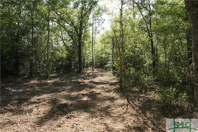 0 Floyd Rd unit Lot 9 328851, Pembroke, GA 31321 - photo 4