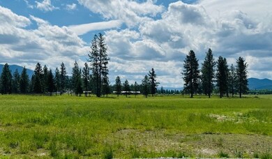 20 Cabinet View, Trout Creek, MT 59874 - photo 5