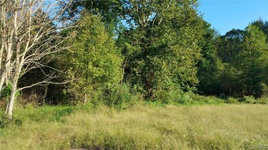 000 Boxley Rd, Caroline, VA 22546 - photo 7