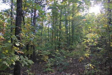 Woods on property