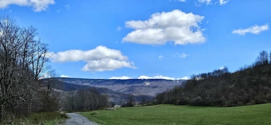 38162 Seneca Trail, Slatyfork, WV 26291 - photo 2