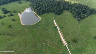 DJI_20240805153824_0067_D (Large)