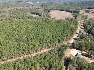 XXX Conerly Dr, McComb, MS 39648 - photo 2