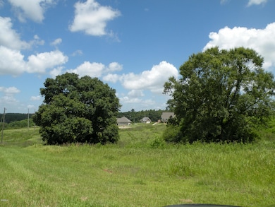 09 Sandra Parker Dr, Lucedale, MS 39452 - photo 3