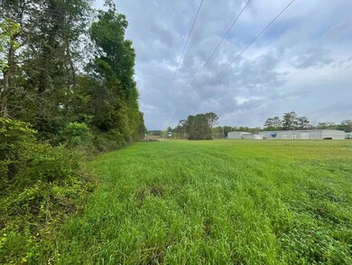 0 Us Hwy 319 N unit 920680, Thomasville, GA 31795 - photo 6