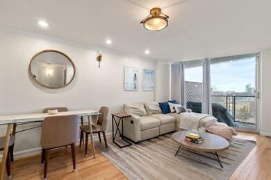 Winchester House Condominiums unit 806, Brookline, MA 02446 - photo 3