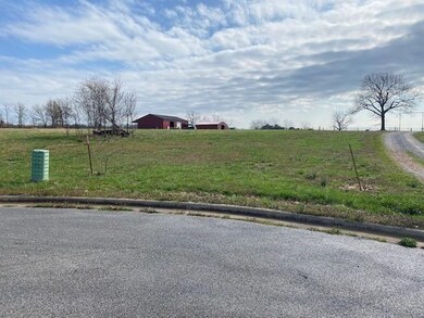 Lot 29 Cayenne Cir, Gentry, AR 72761 - photo 2