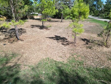 25088 Forest Cir, Hockley, TX 77447 - photo 6