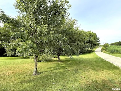 101 S Station St, Altona, IL 61414 - photo 2