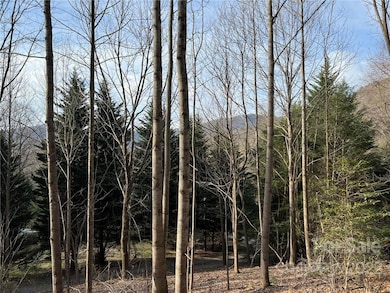 999 Sleepy Gap Rd unit 6, Arden, NC 28704 - photo 5