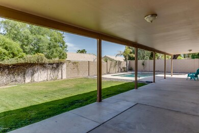 05 Backyard