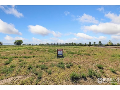 1554 Hauck Meadows Dr, Frederick, CO 80504 - photo 4