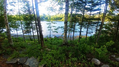 17 Birch St, Dover Foxcroft, ME 04426 - photo 5