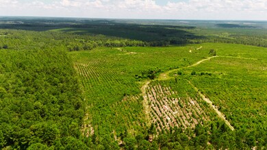 Lot 3 3 Notch Rd, Monetta, SC 29105 - photo 5