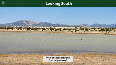 1.25-Acres-Corner-Lot-RV-Ok-In-Show-Low-