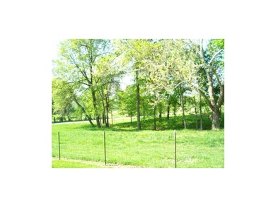 Pasture Area in front of home