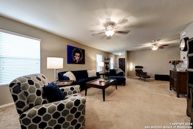 11839 Twin Oaks Path, San Antonio, TX 78254 - photo 7