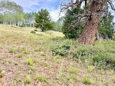 0 Aspen Dr unit M & B, Brian Head, UT 84719 - photo 5