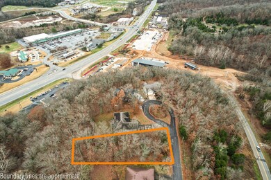 Lot 49 Hornby Ln, Bella Vista, AR 72714 - photo 7