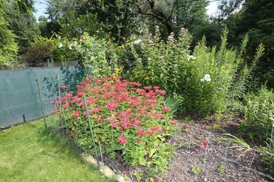 1986 Sharondale Ave, Saint Paul, MN 55113 - photo 4