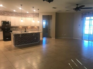 10620 Aldo Moro Dr, Wimauma, FL 33598 - photo 6