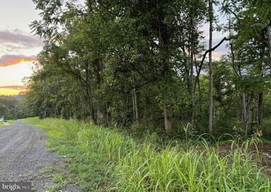 0 Mountain Ridge Way unit VACU2008546, Culpeper, VA 22701 - photo 5