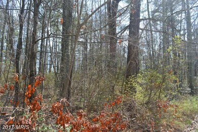 0 Nicholson Dr unit 1000407513, Colonial Beach, VA 22443 - photo 4