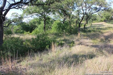 10113 Basilone Ridge, San Antonio, TX 78255 - photo 7