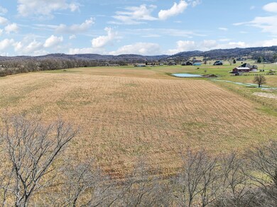0 Polk unit RTC2794640, Columbia, TN 38401 - photo 7