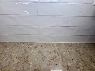 1100 Curlew Rd, Dunedin, FL 34698 - photo 4