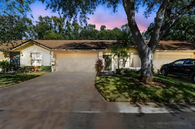 4009 Shoreside Cir, Tampa, FL 33624 - photo 2