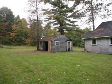 7 Back yard v2 (Copy)