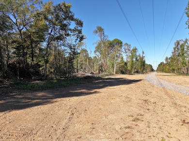 Old_Hwy_24_W_160_Acres-5