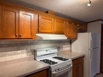 9103 N Union Lot #116 St unit 116, Tecumseh, MI 49286 - photo 6