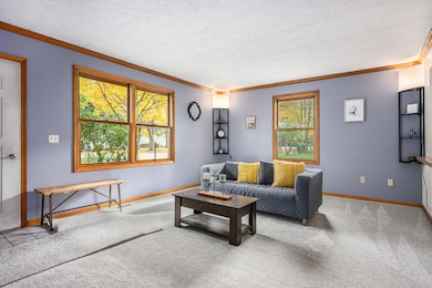 218 S Robinson St, Schoolcraft, MI 49087 - photo 3