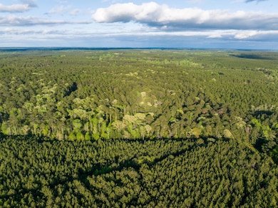 000 Breakfield Ln, Columbia, MS 39429 - photo 3