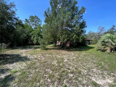 21970 SW Anchor Blvd, Dunnellon, FL 34431 - photo 7