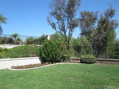 Beautiful Back Yard 